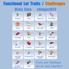 Functional Lot Traits / Challenges logo